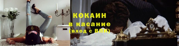 трава Абаза
