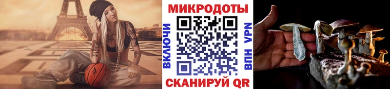 наркотики  Одинцово  Галлюциногенные грибы мухоморы 