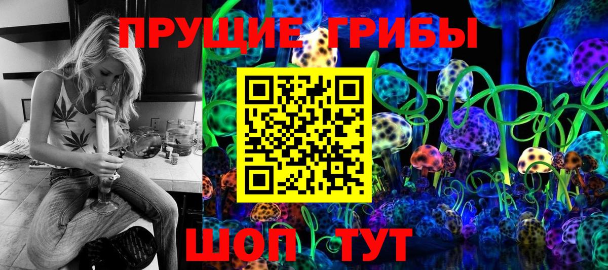 Галлюциногенные грибы Psilocybine cubensis Одинцово