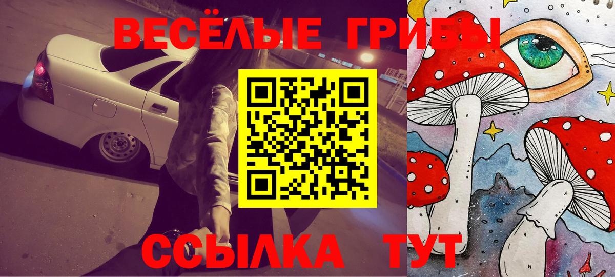 Одинцово  Галлюциногенные грибы Magic Shrooms  Вход с VPN  Псилоцибиновые грибы Psilocybe 